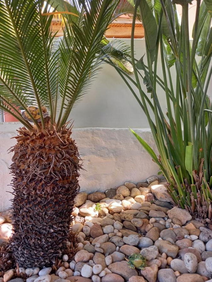 Alexandros Cosy House For Family Vacation Apartment Chania  ภายนอก รูปภาพ