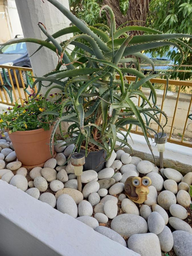 Alexandros Cosy House For Family Vacation Apartment Chania  ภายนอก รูปภาพ